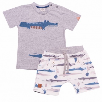 Conjunto Menino Camiseta E Bermuda Jacars